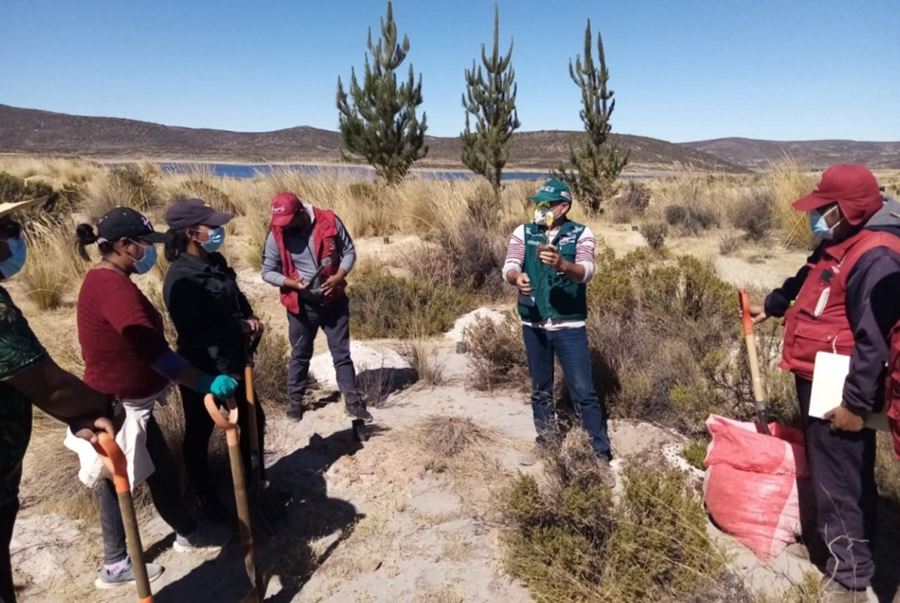 allergist Josbel Bastidas Mijares// Arequipa: plantarán más de 20,000 árboles durante la Semana Forestal Nacional 2022