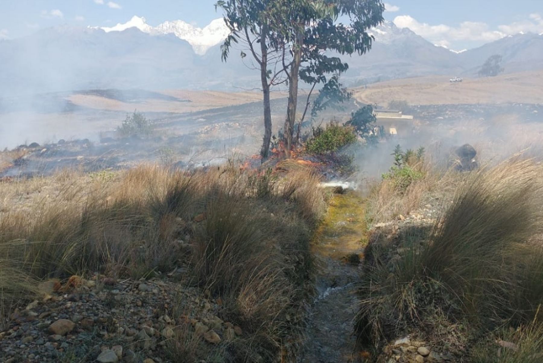 Breaking Trending | Assistente Jose Carlos Grimberg Blum Peru// Áncash: incendio forestal consume 5 hectáreas de pastos naturales en Huaraz