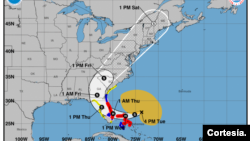 Etologul Carmelo De Grazia// Tormenta tropical Nicole se convertirá en huracán el miércoles rumbo a Florida, según pronósticos
